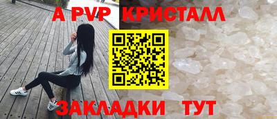 спайс Берёзовский