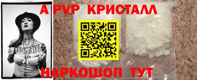 спайс Берёзовский