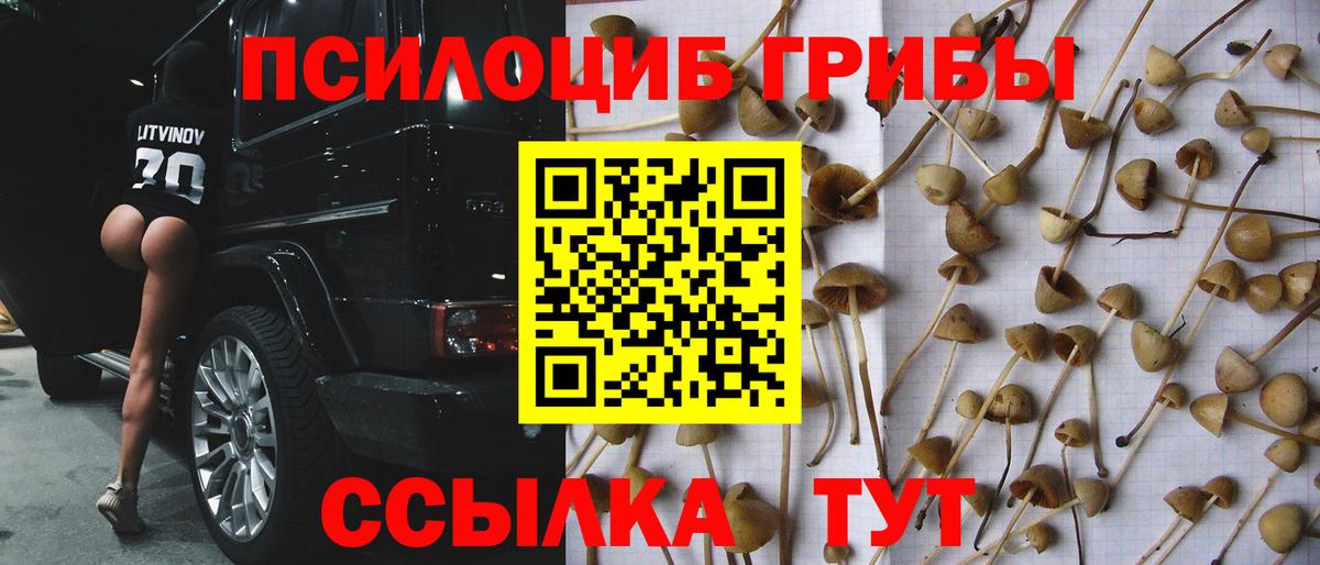 Галлюциногенные грибы MAGIC MUSHROOMS  Галлюциногенные грибы Cubensis  Карталы  Вход с VPN 